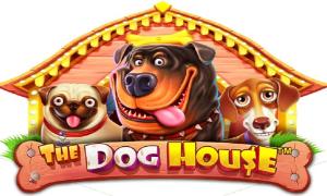 The Dog House слот уже в Wilder Casino